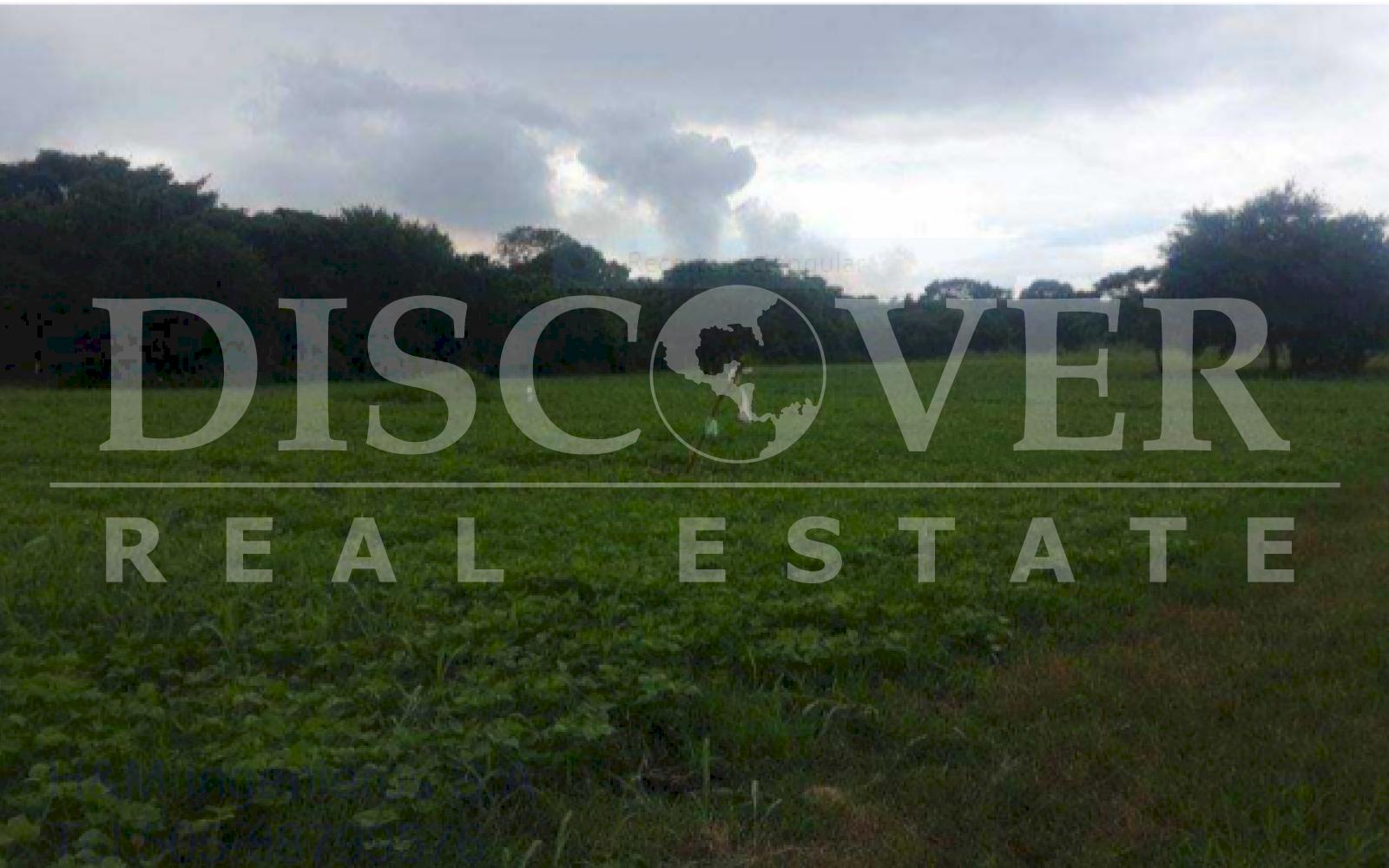 https://images.discovernica.com/propiedad/1600/TCM1.1_5_5.PNG
