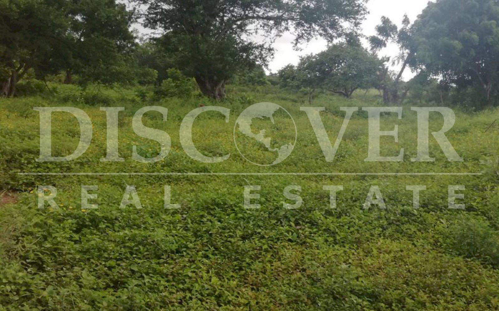 Flat Land for Sale in Esquipulas ideal for homes ID 12101