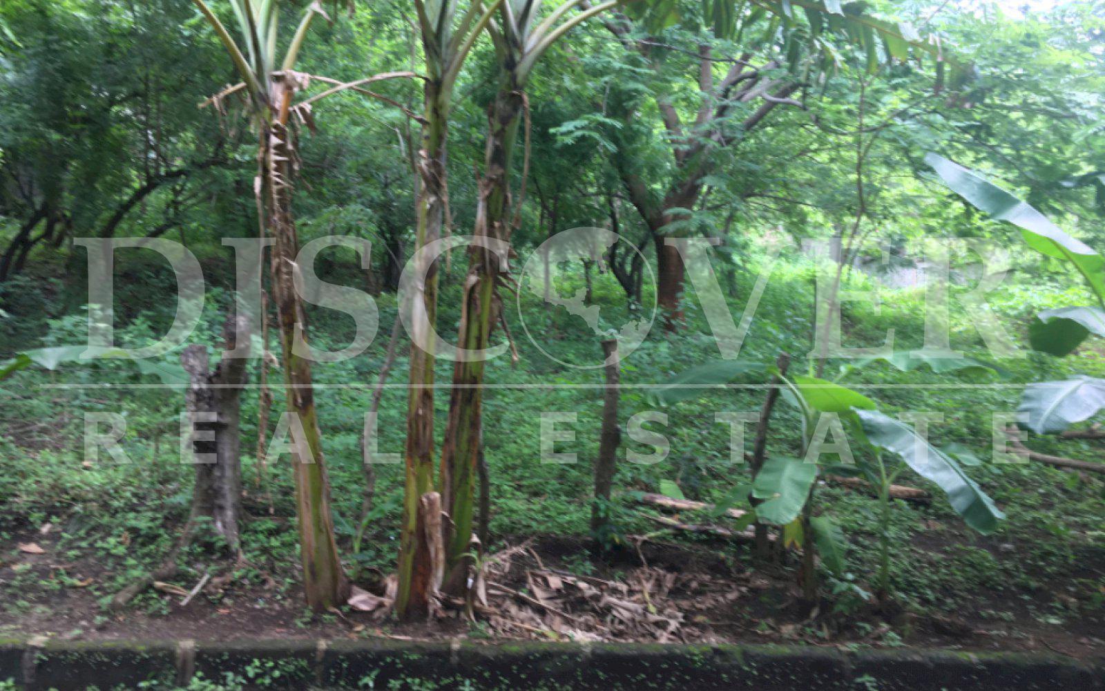https://images.discovernica.com/propiedad/1600/TMCRML_12.JPG