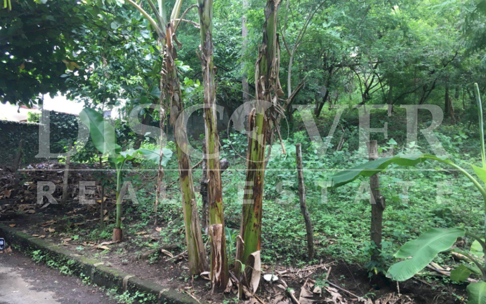 https://images.discovernica.com/propiedad/1600/TMCRML_15.JPG