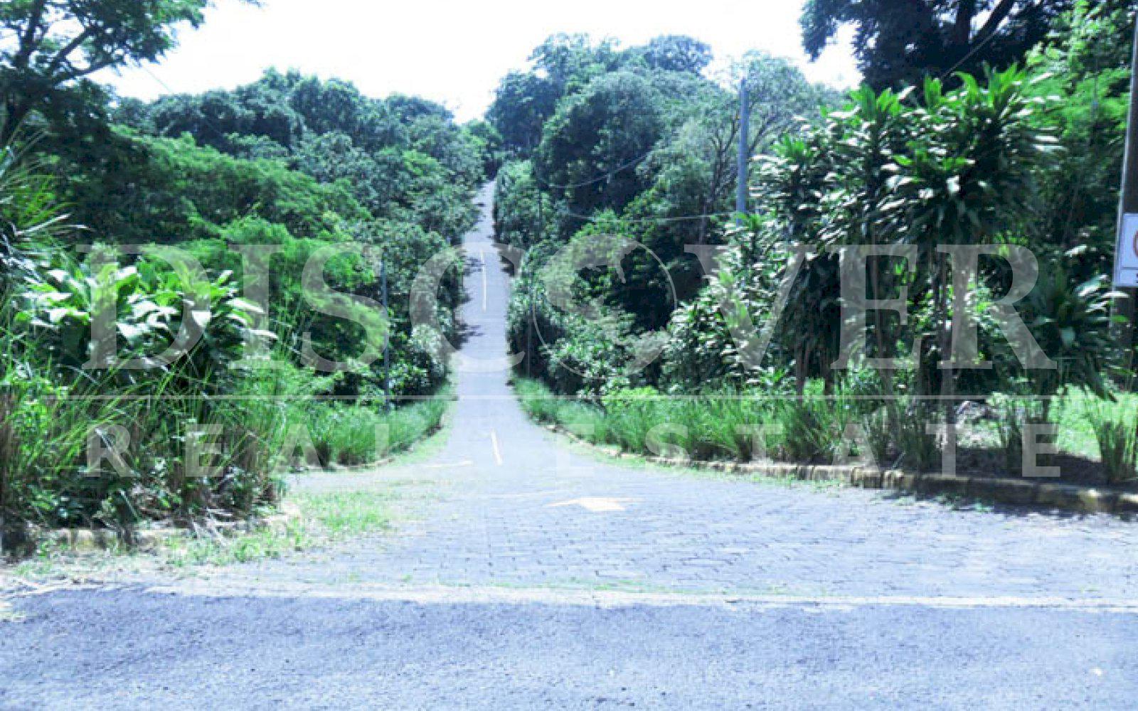 https://images.discovernica.com/propiedad/1600/Terreno_de_13_000_vras2_Topografia_Semi_Plana_Acceso_Calle_Adoquinada_id_1671_2.jpg