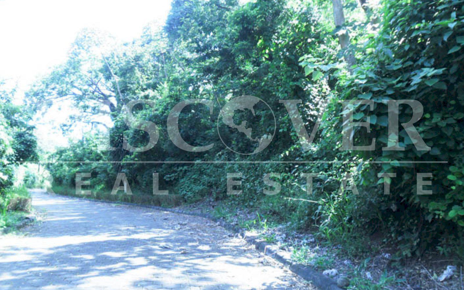 https://images.discovernica.com/propiedad/1600/Terreno_de_13_000_vras2_Topografia_Semi_Plana_Acceso_Calle_Adoquinada_id_1671_8.jpg