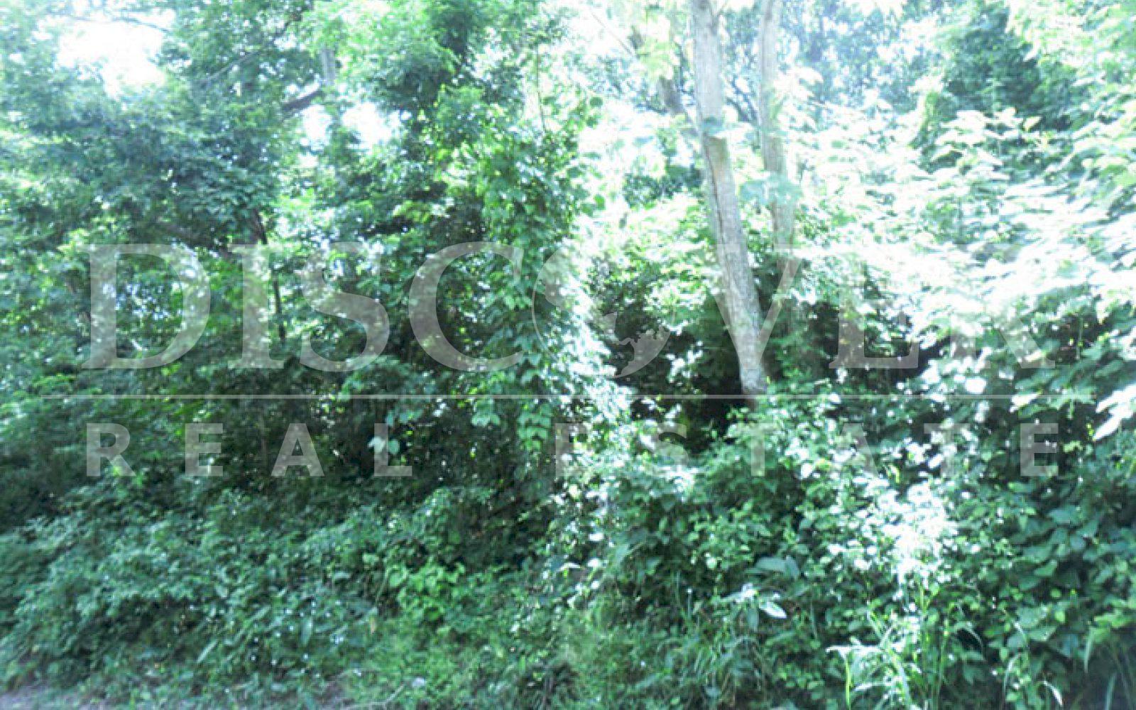 https://images.discovernica.com/propiedad/1600/Terreno_de_13_000_vras2_Topografia_Semi_Plana_Acceso_Calle_Adoquinada_id_1671_9.jpg