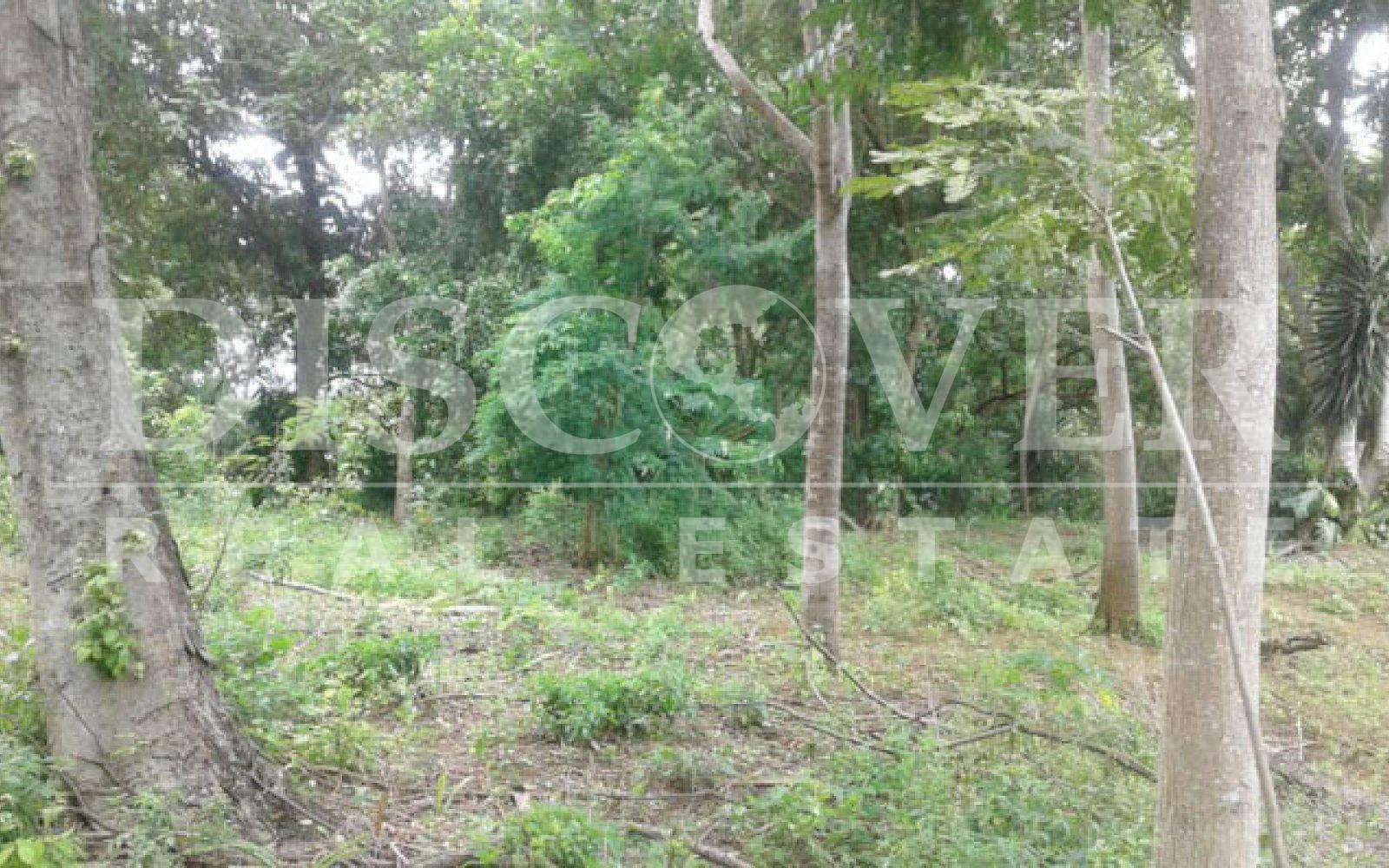 https://images.discovernica.com/propiedad/1600/Terreno_en_venta_Villa_Fontana_Sur_Managua_Nicaragua_id_4778_2.jpg
