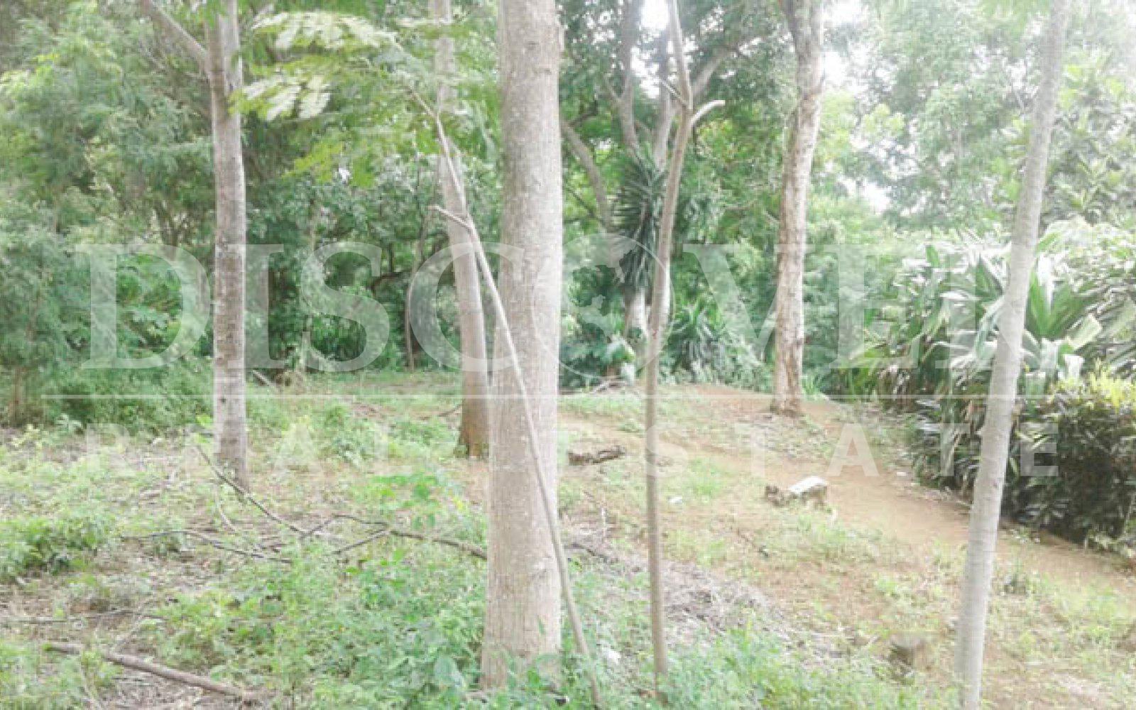 https://images.discovernica.com/propiedad/1600/Terreno_en_venta_Villa_Fontana_Sur_Managua_Nicaragua_id_4778_4.jpg