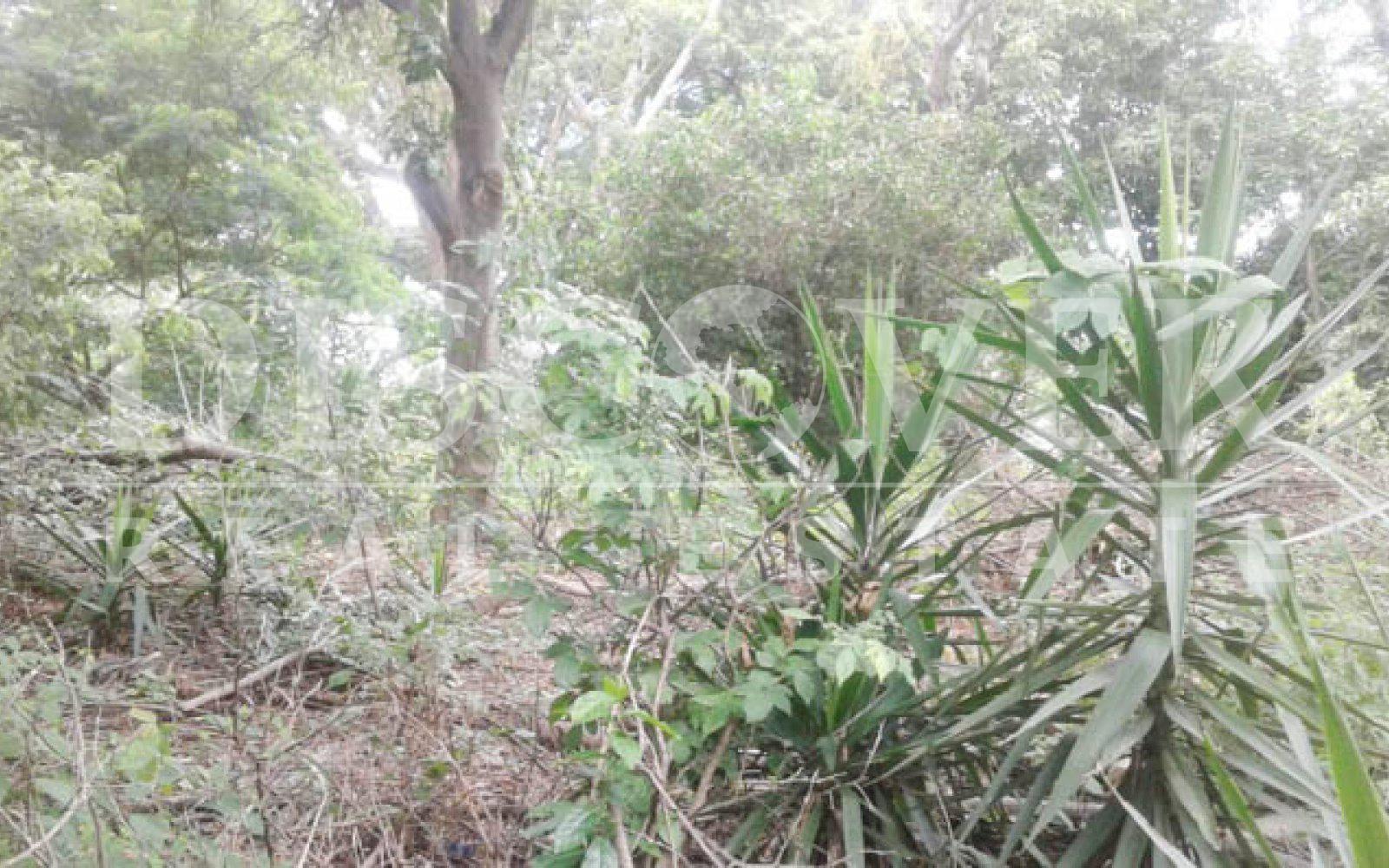 https://images.discovernica.com/propiedad/1600/Terreno_en_venta_Villa_Fontana_Sur_Managua_Nicaragua_id_4778_6.jpg