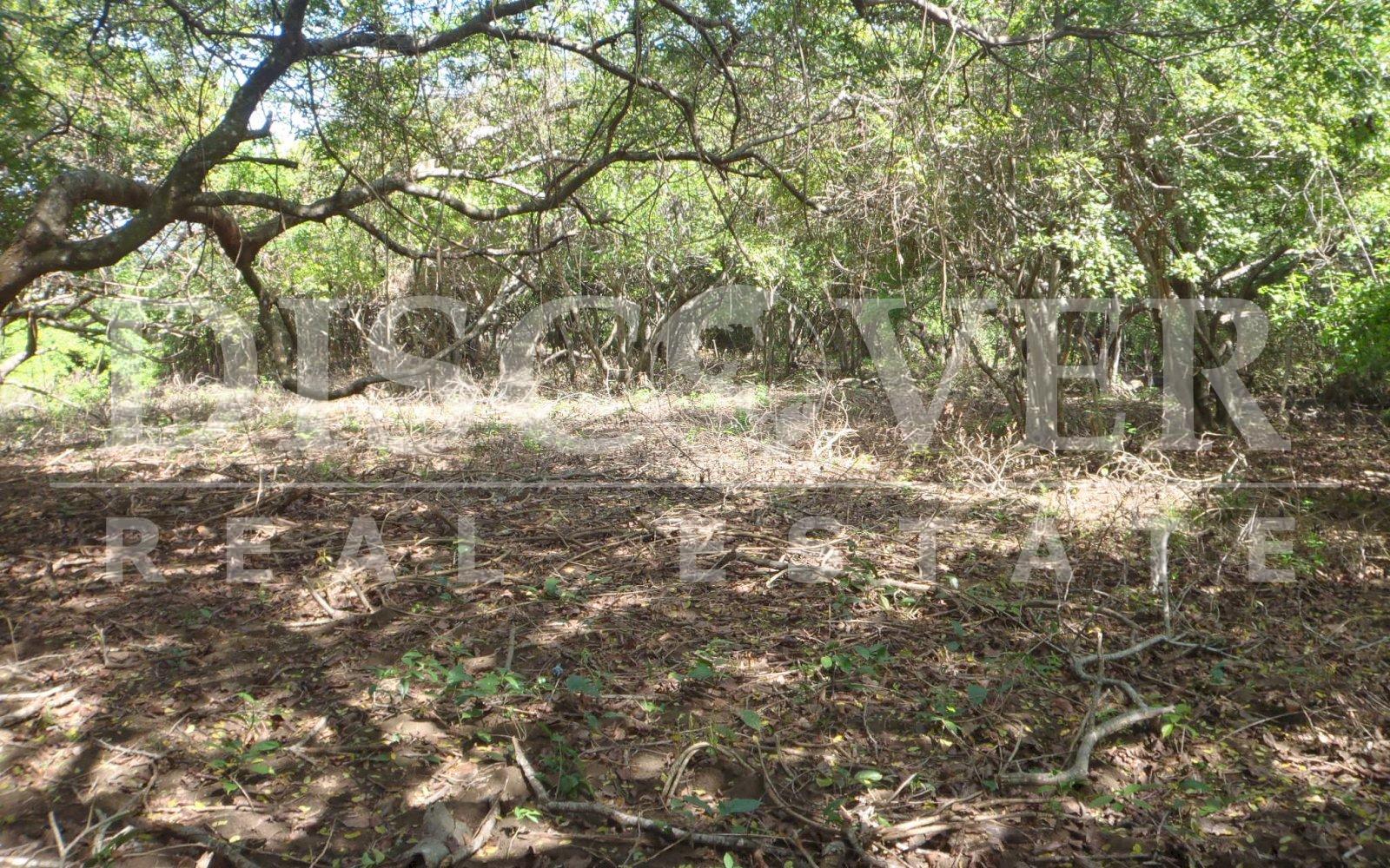 https://images.discovernica.com/propiedad/1600/Viaje_proyecto_Poneloya_Agosto_20_2012_054_1.JPG