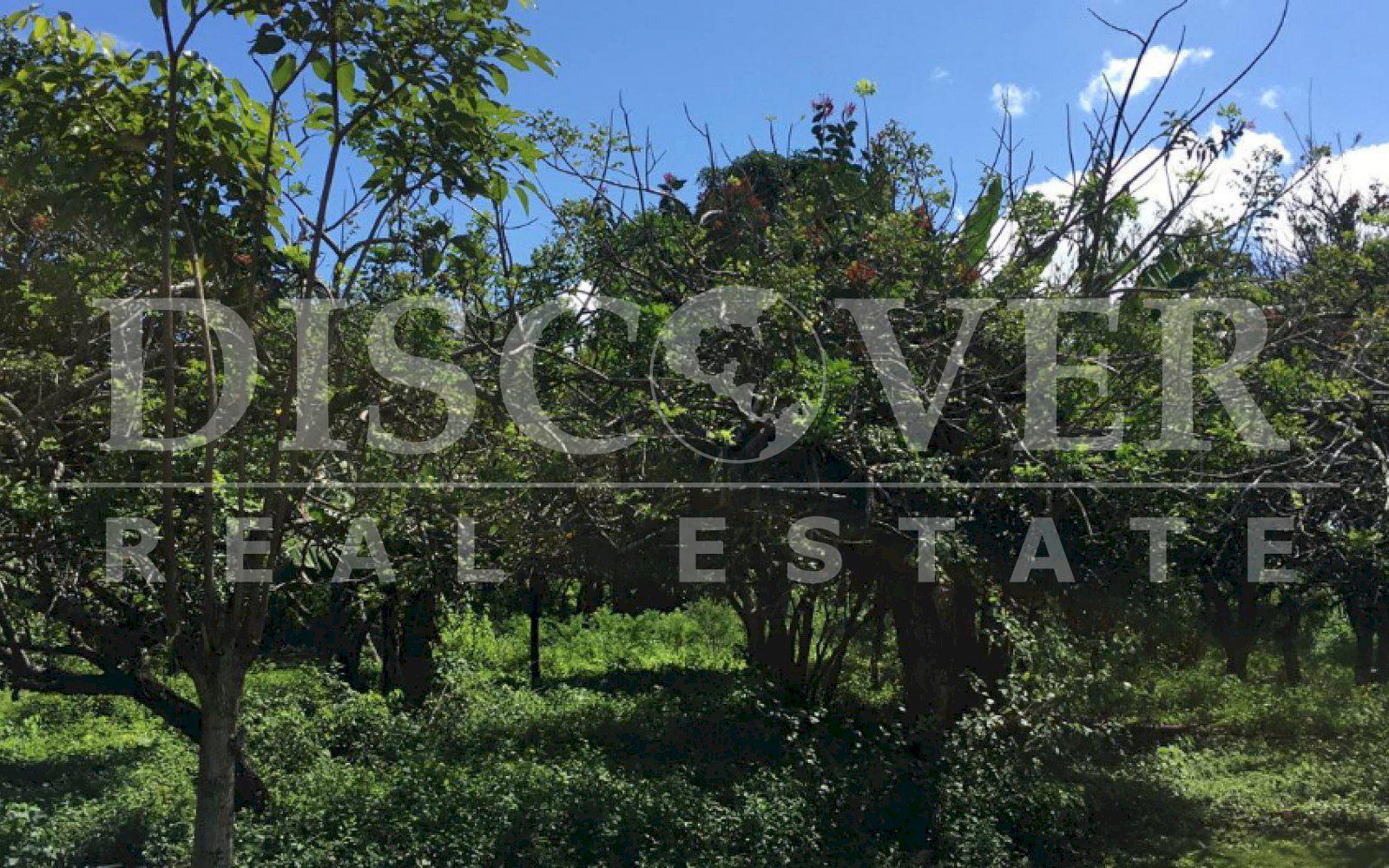 Large Land for Sale in the Valley of Gothel Region ID 11623