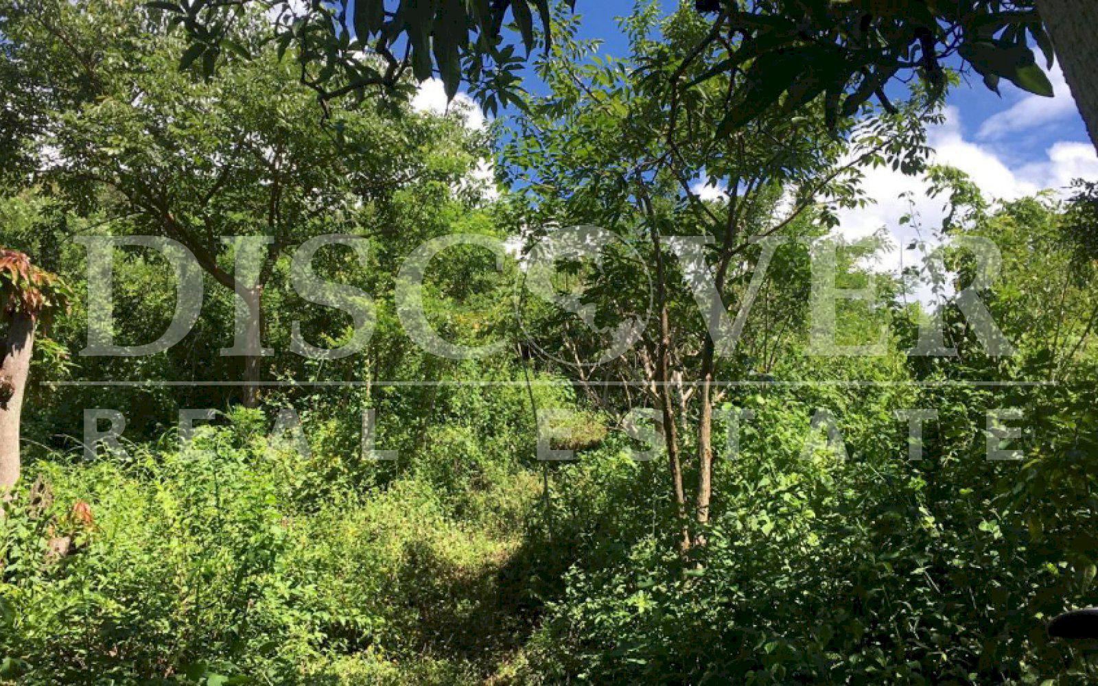 Large Land for Sale in the Valley of Gothel Region ID 11623