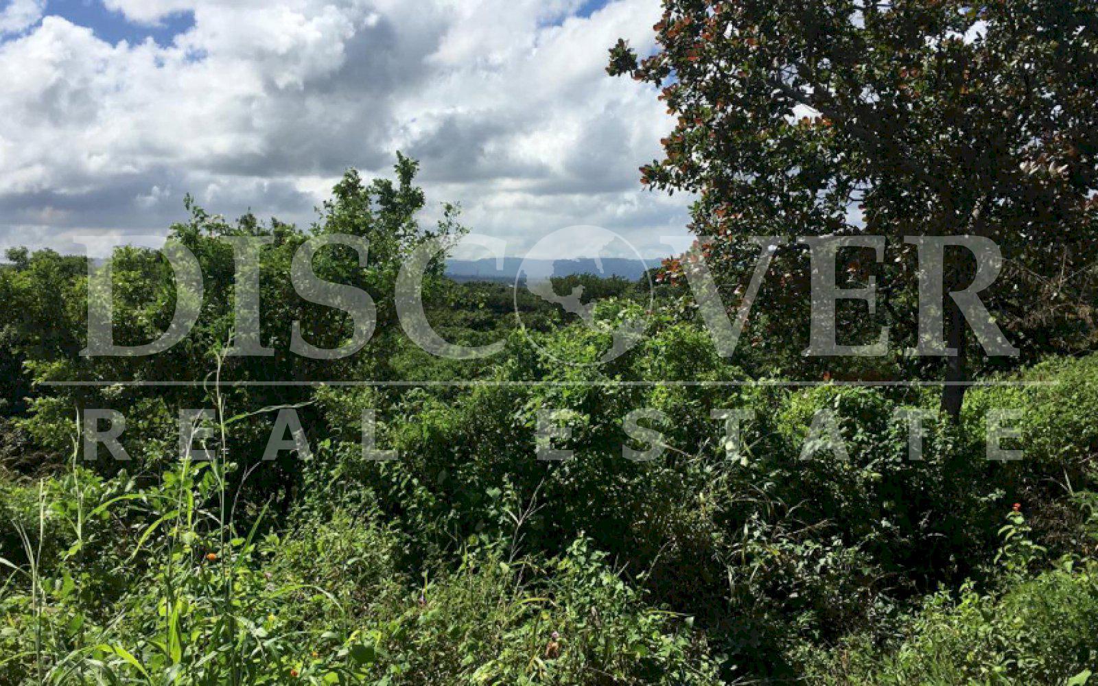Large Land for Sale in the Valley of Gothel Region ID 11623