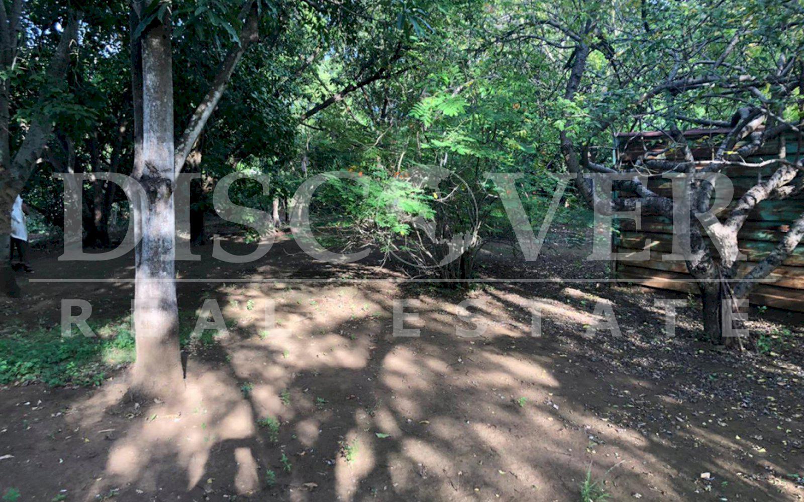 https://images.discovernica.com/propiedad/1600/WhatsApp_Image_2020_12_15_at_3.39.52_PM.jpg