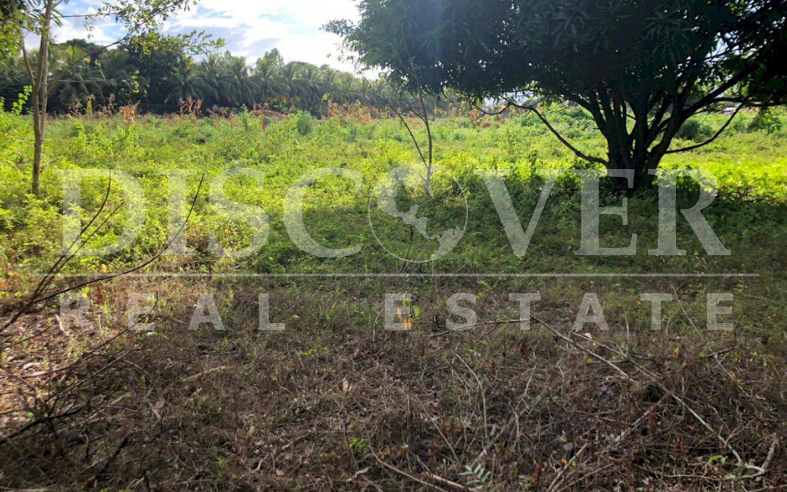 https://images.discovernica.com/propiedad/1600/WhatsApp_Image_2020_12_15_at_3.40.50_PM_1_.jpg