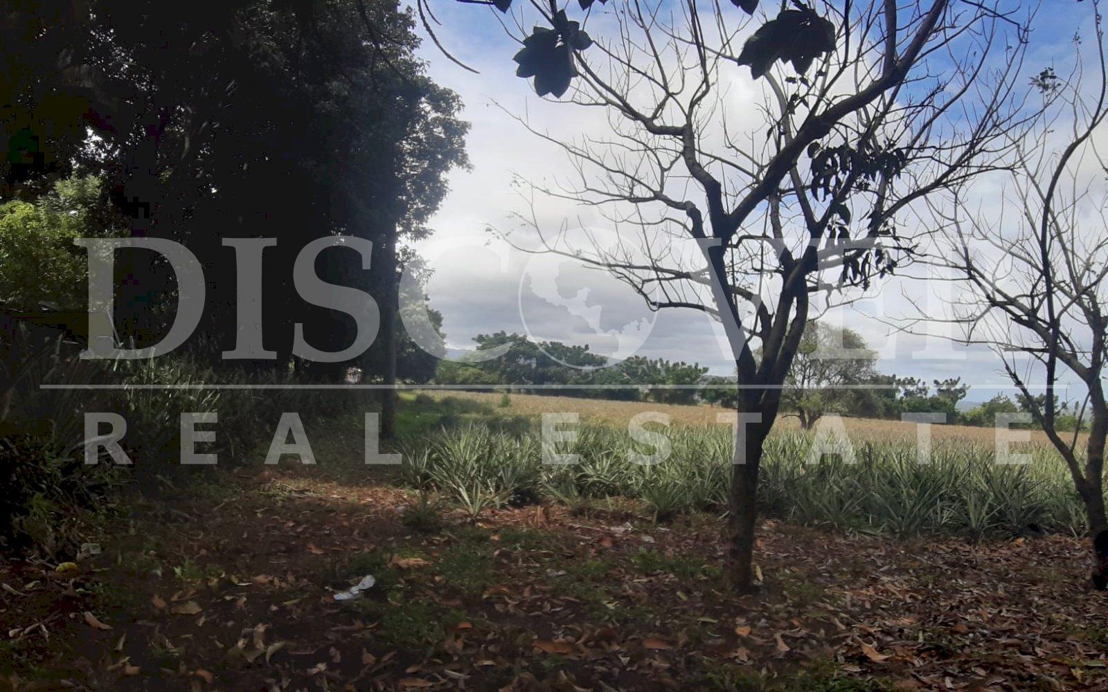  Flat Land of 13.92 acres for Sale in Ticuantepe ID 12792