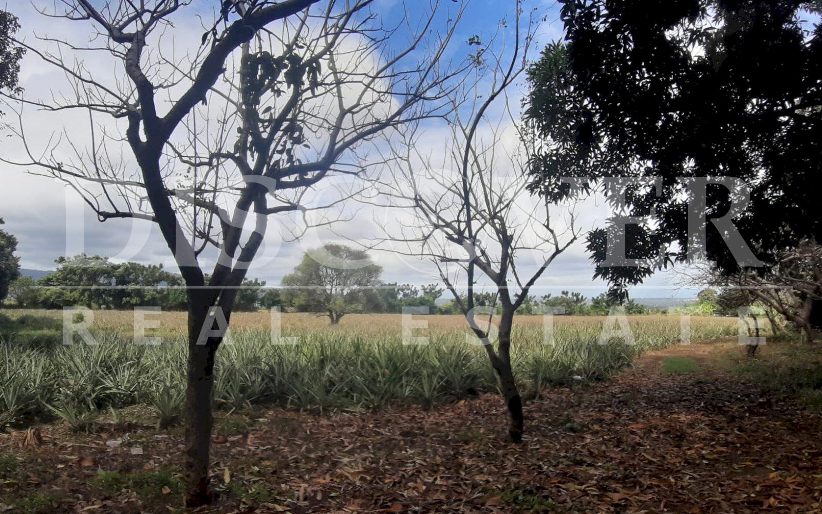  Flat Land of 13.92 acres for Sale in Ticuantepe ID 12792