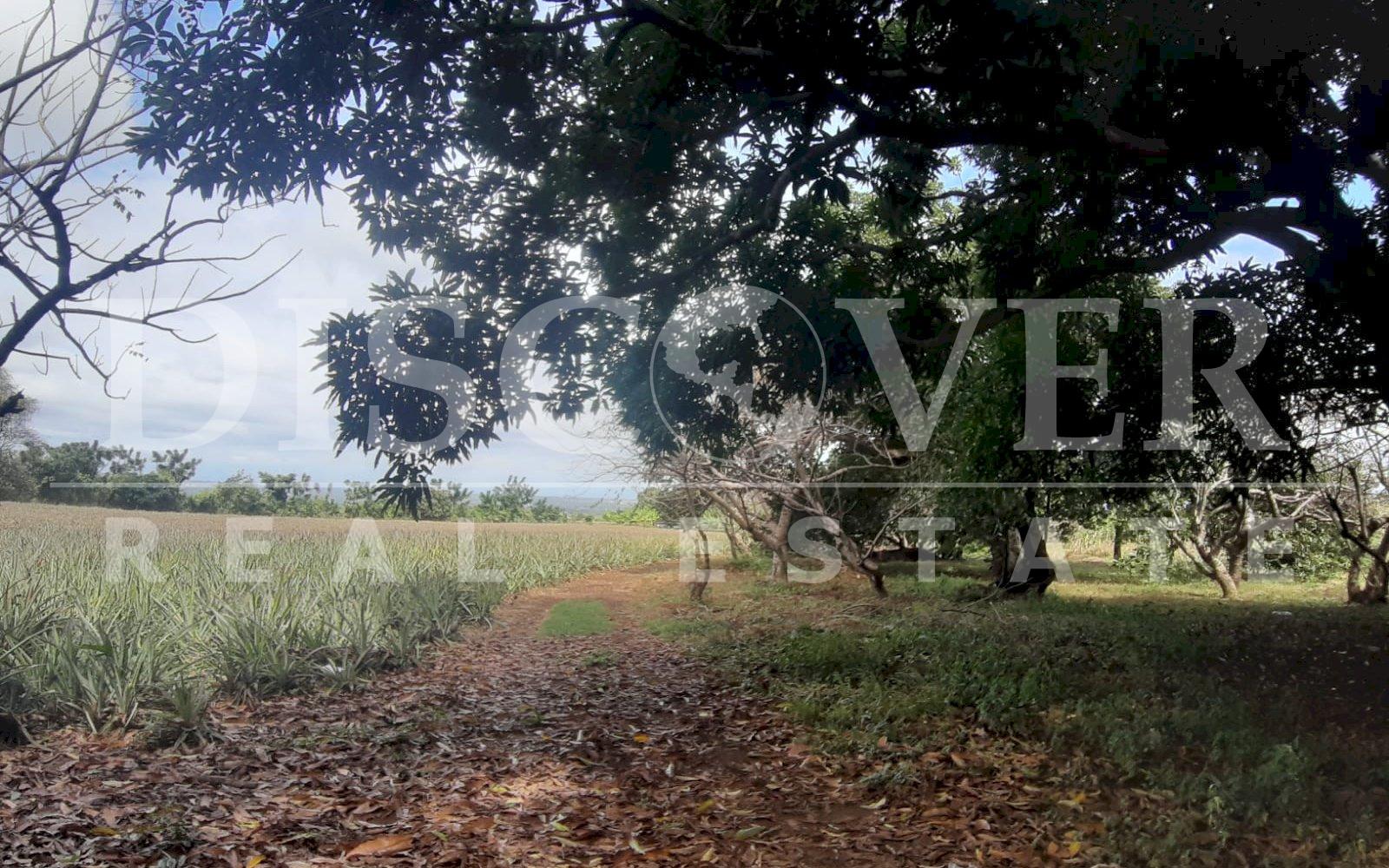  Flat Land of 13.92 acres for Sale in Ticuantepe ID 12792