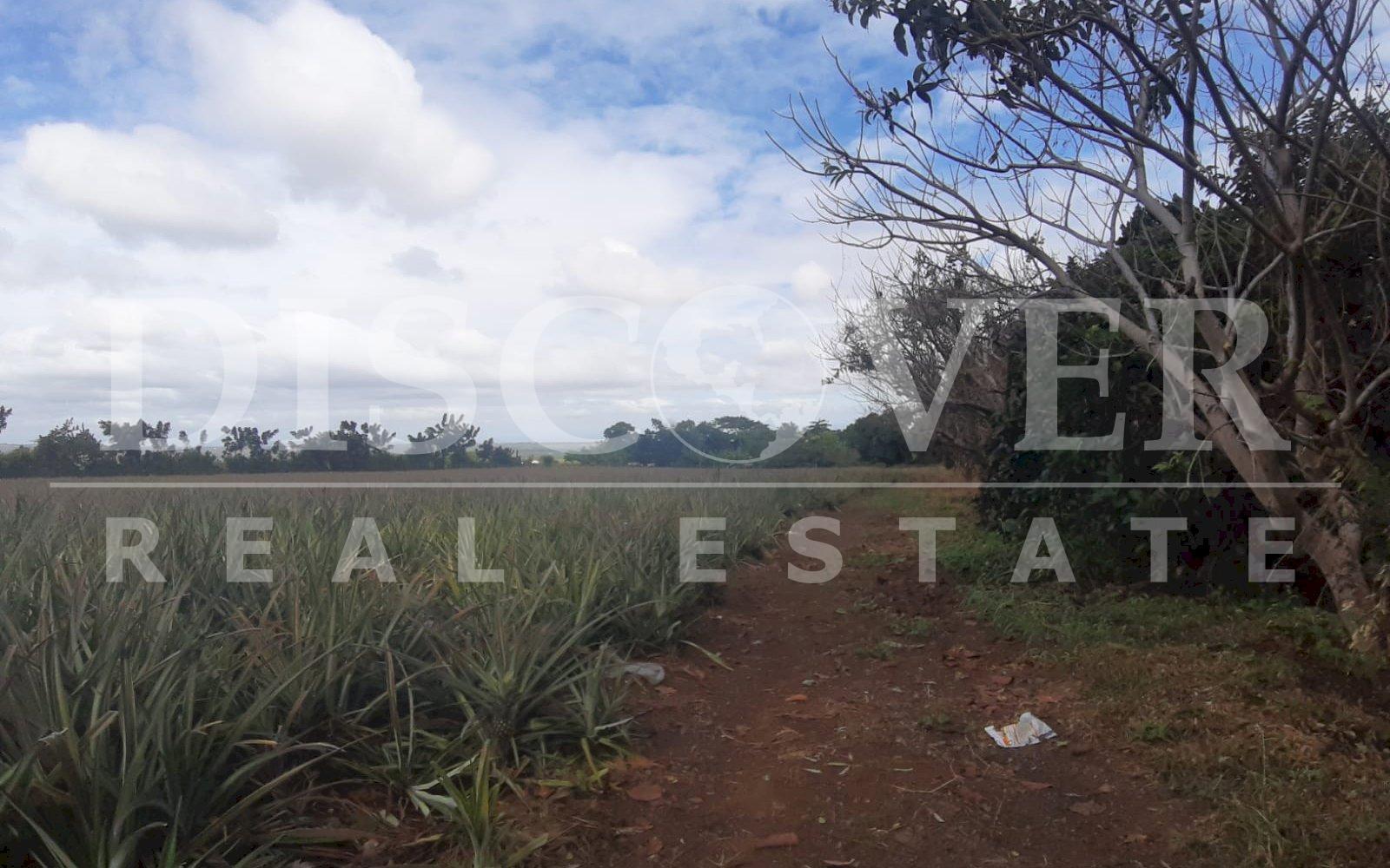  Flat Land of 13.92 acres for Sale in Ticuantepe ID 12792