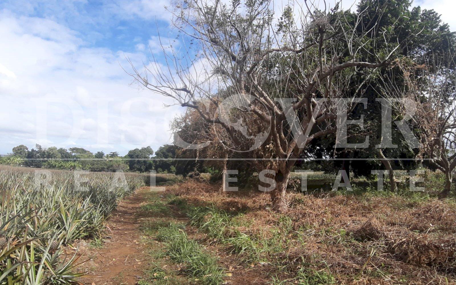  Flat Land of 13.92 acres for Sale in Ticuantepe ID 12792