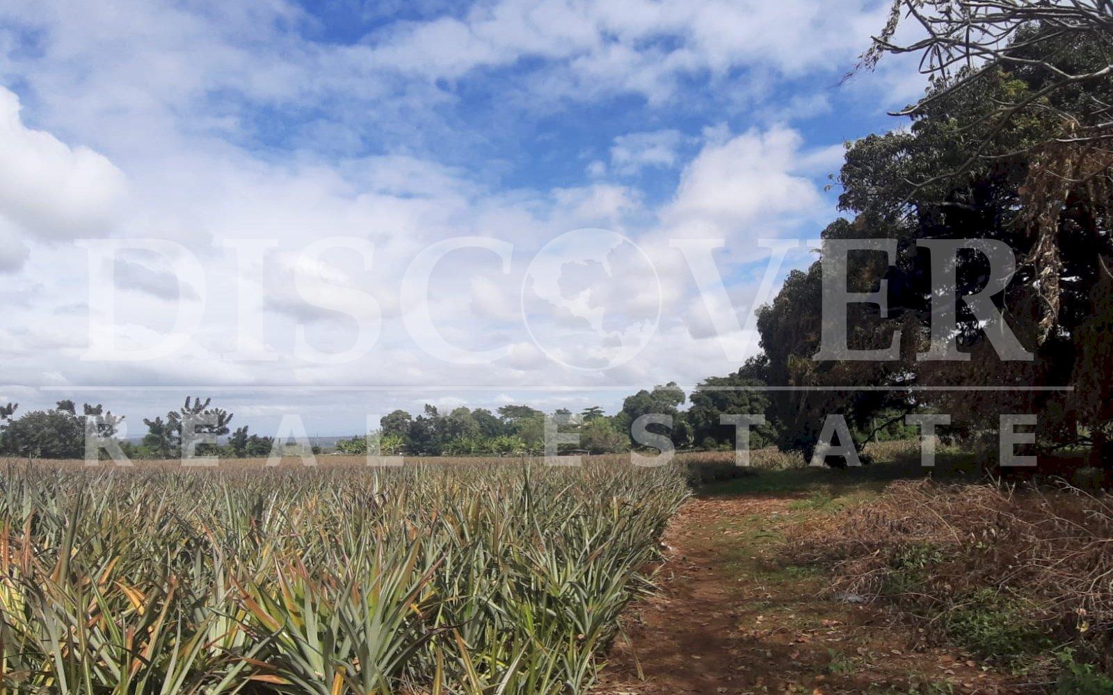  Flat Land of 13.92 acres for Sale in Ticuantepe ID 12792