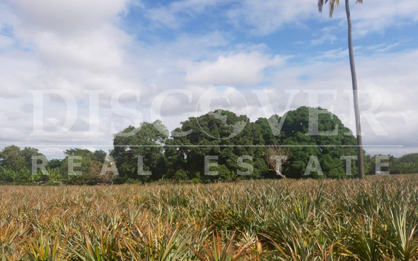  Flat Land of 13.92 acres for Sale in Ticuantepe ID 12792