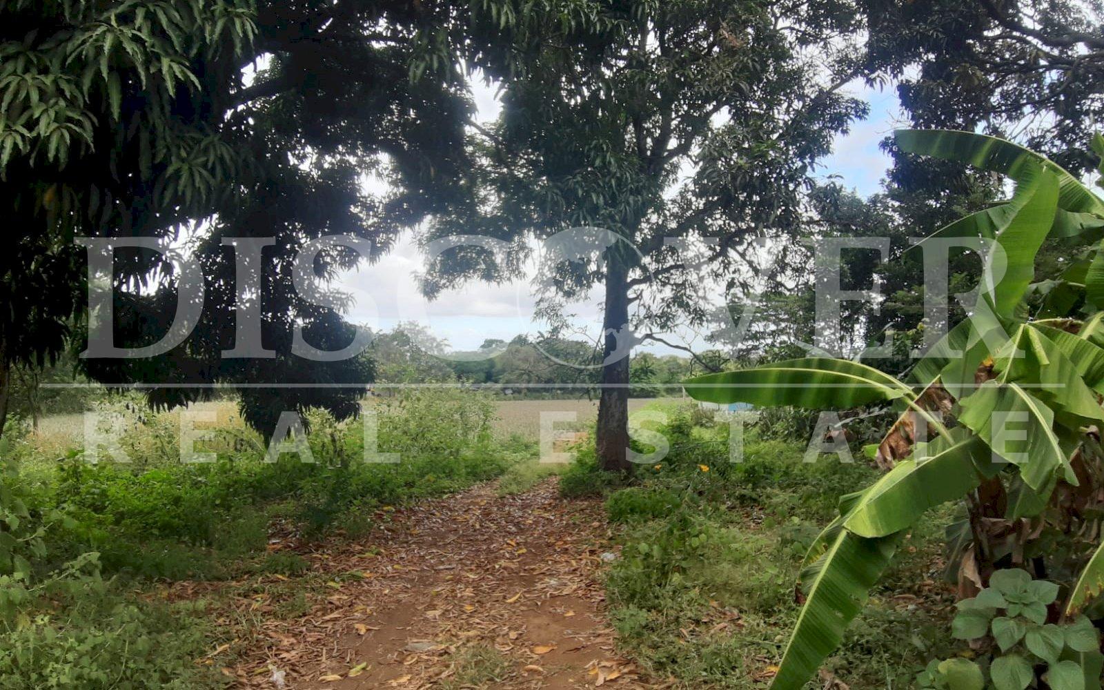 Imagen 9 de la galería