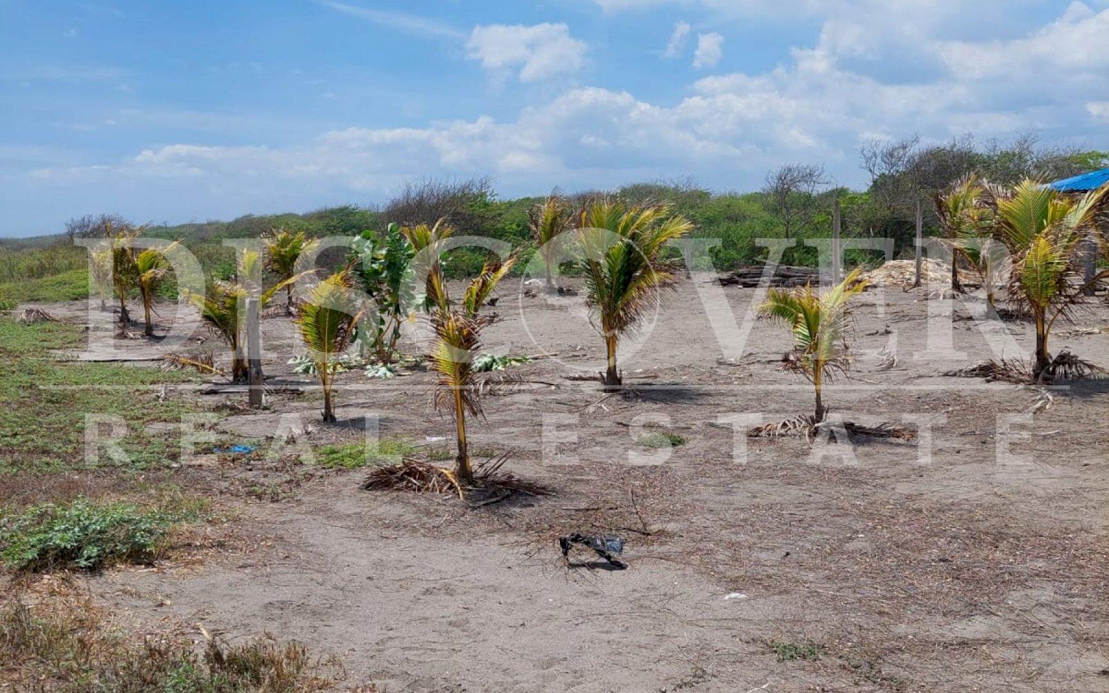 Imagen 6 de la galería