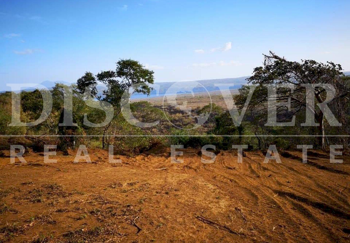Imagen 1 de la galería