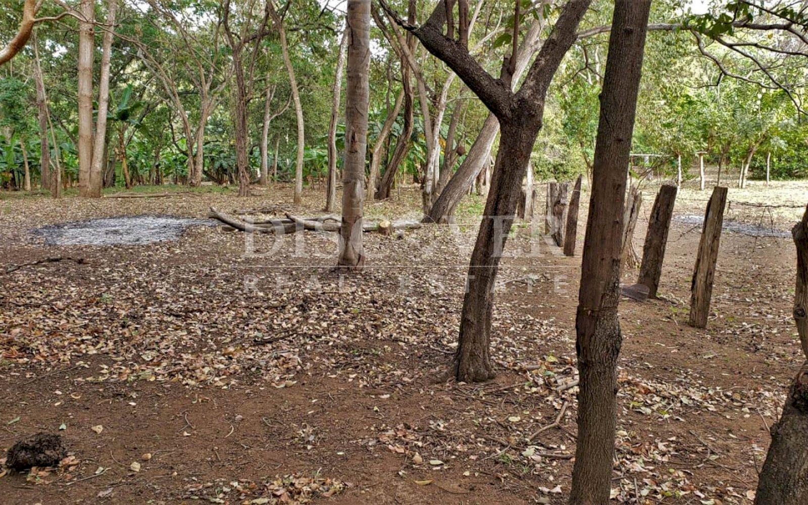  Flat topography land for sale in Masaya Highway