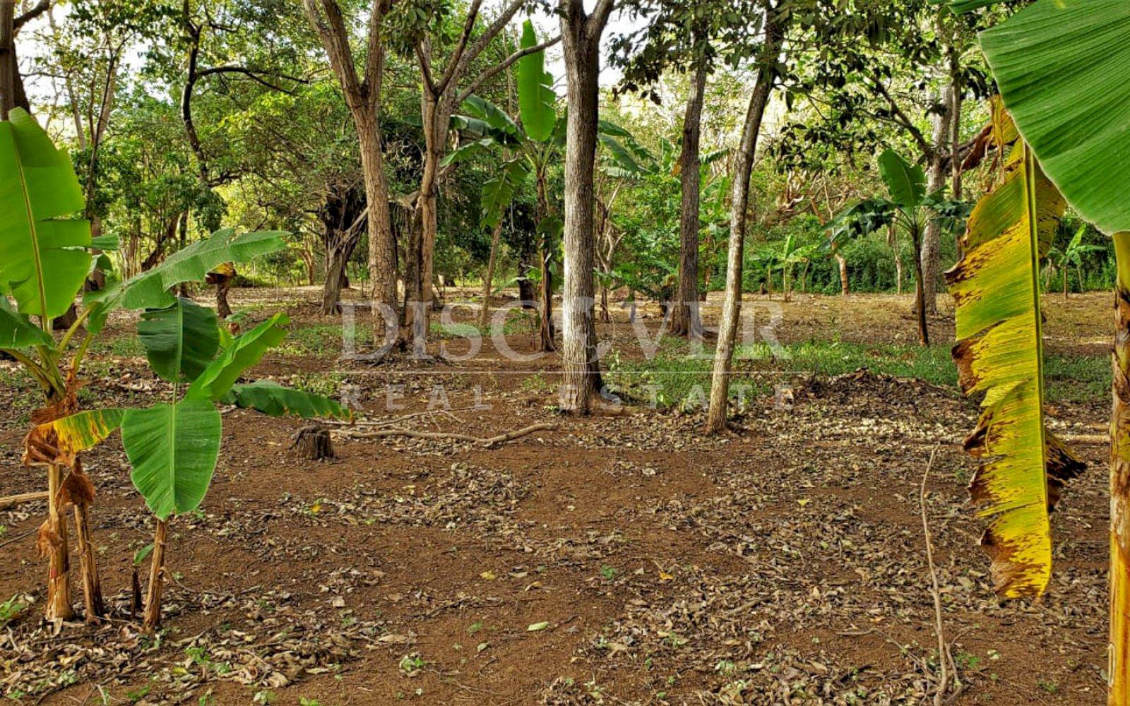  Flat topography land for sale in Masaya Highway