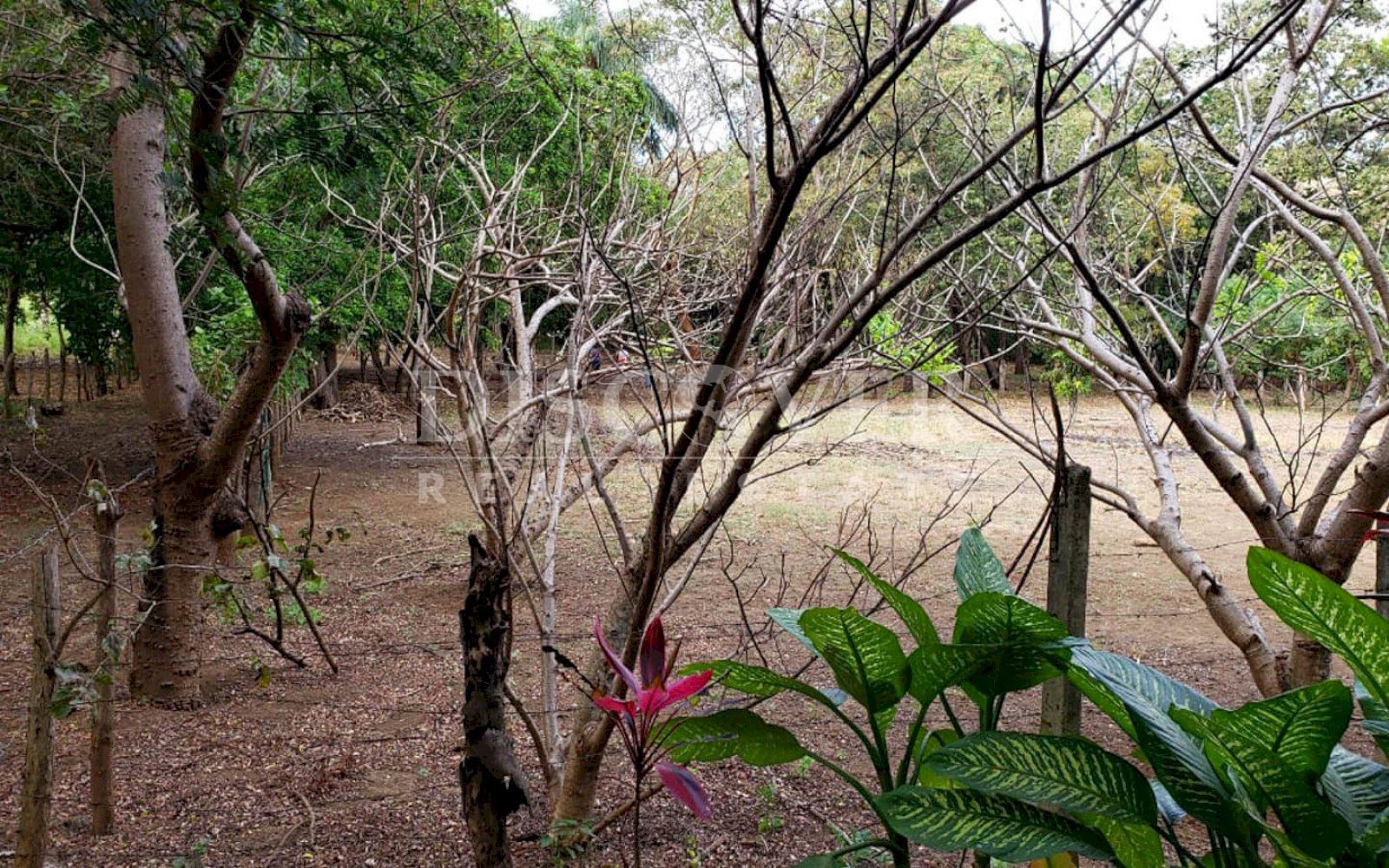  Flat topography land for sale in Masaya Highway