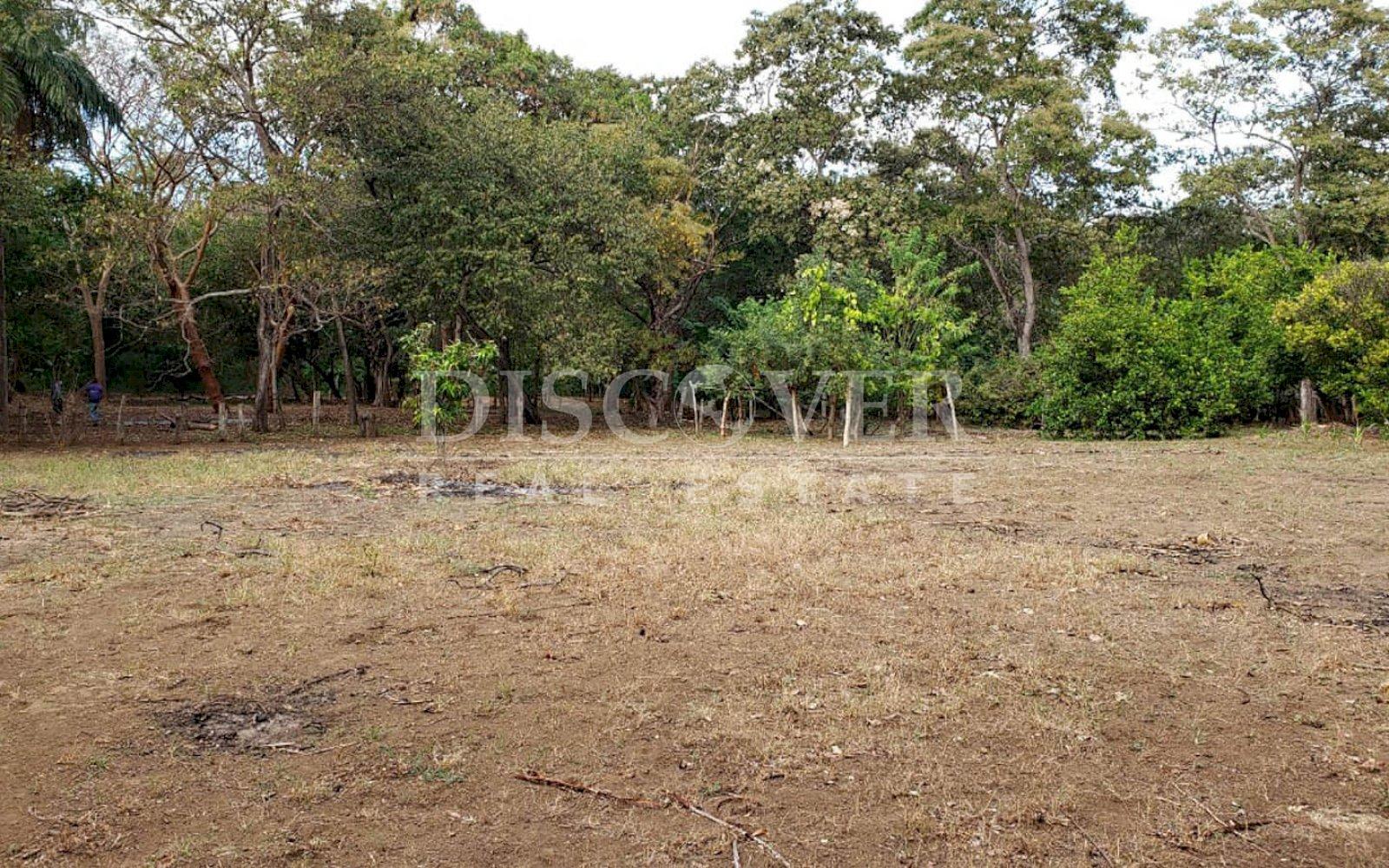  Flat topography land for sale in Masaya Highway