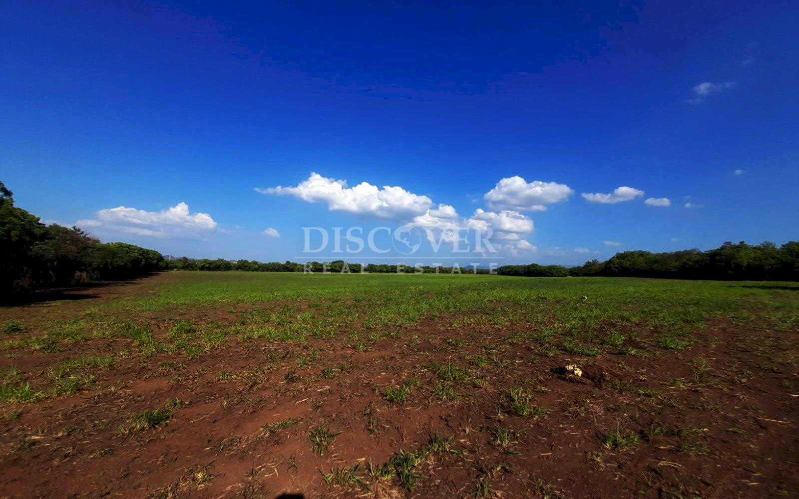 Imagen 4 de la galería