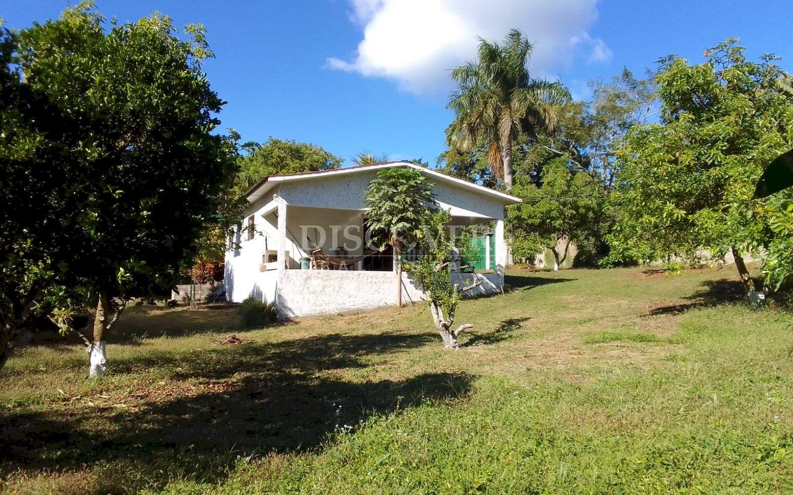 For sale beautiful house with large land and fruit trees.