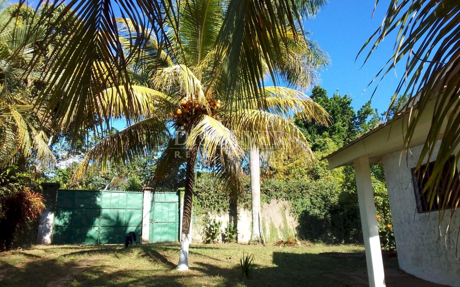  For sale beautiful house with large land and fruit trees.