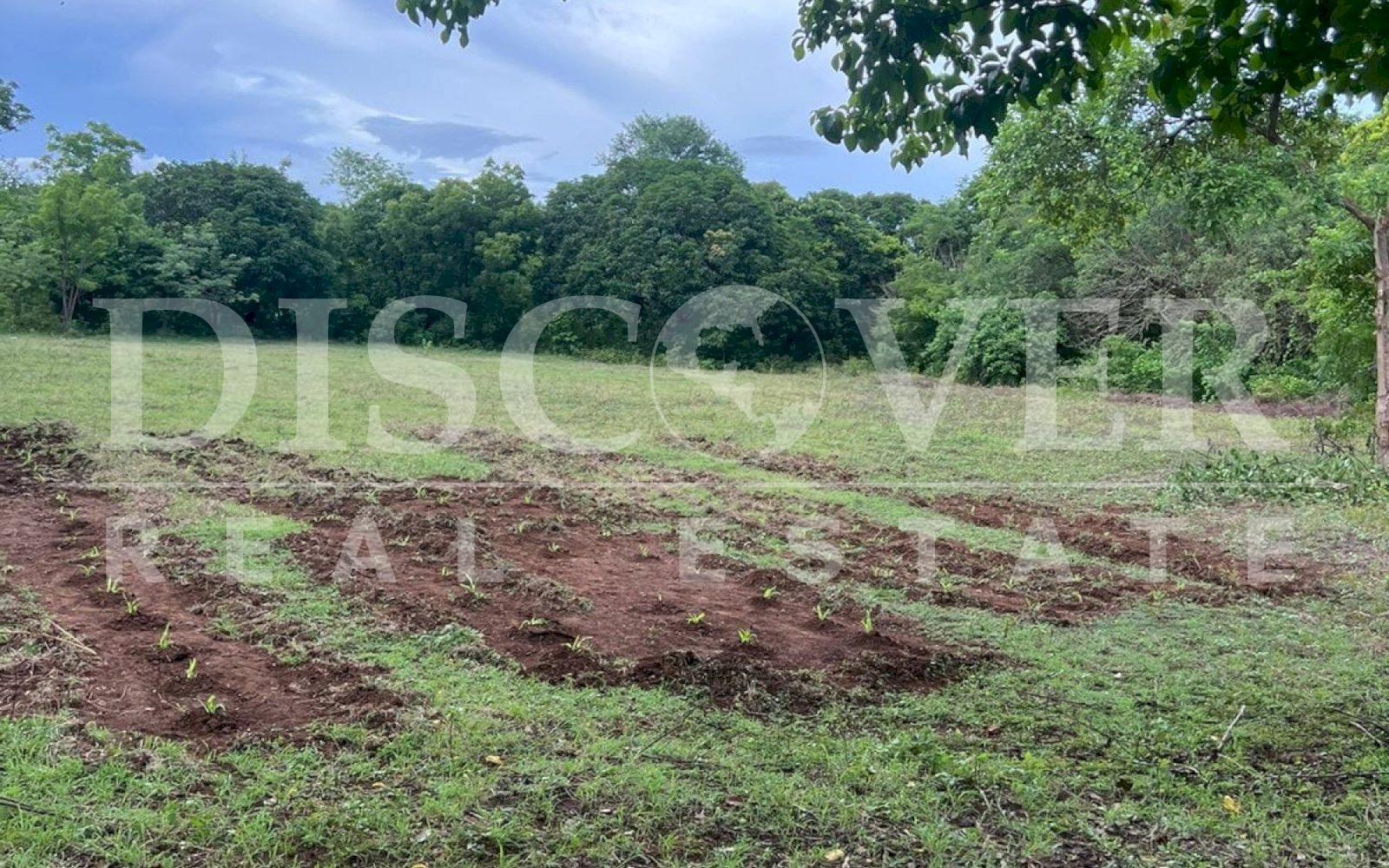 Imagen 3 de la galería
