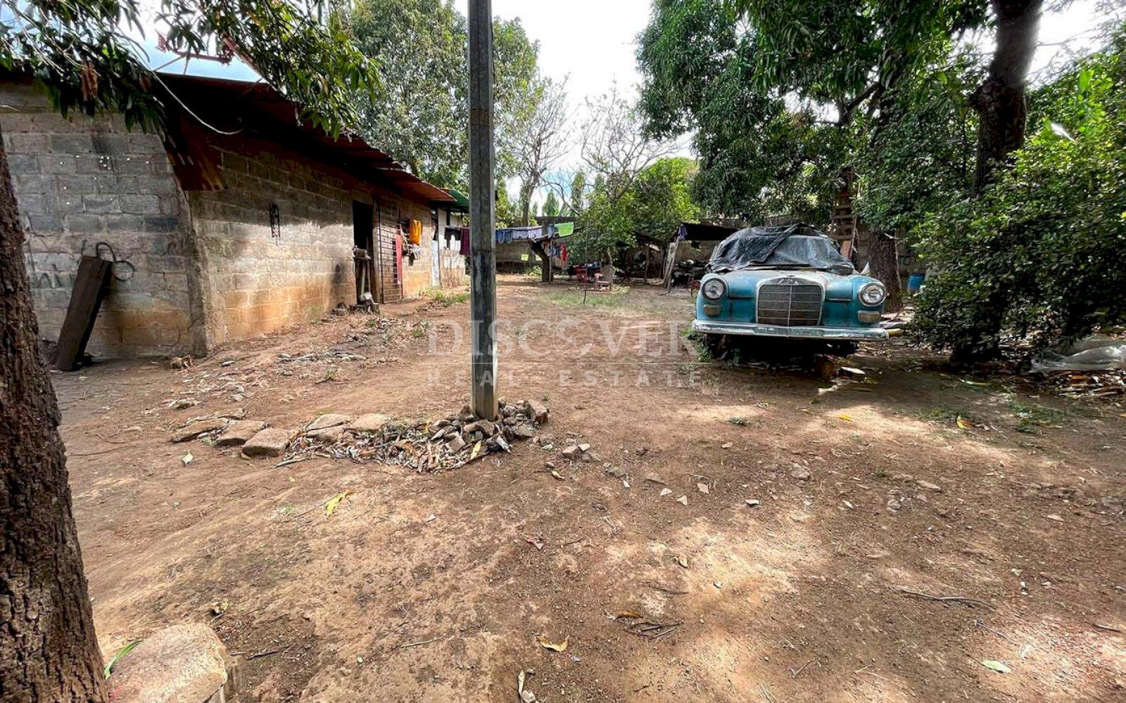 Imagen 3 de la galería