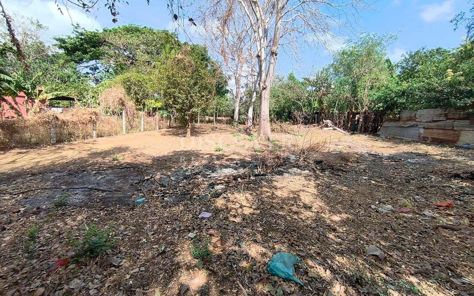 Imagen 5 de la galería