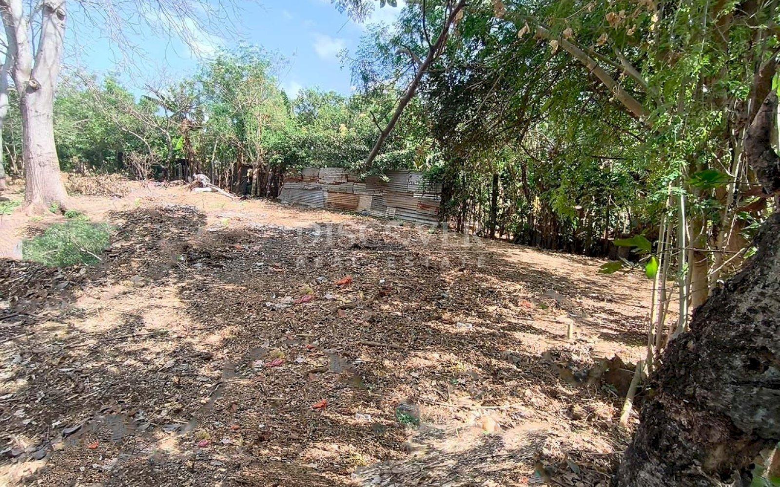 Imagen 3 de la galería