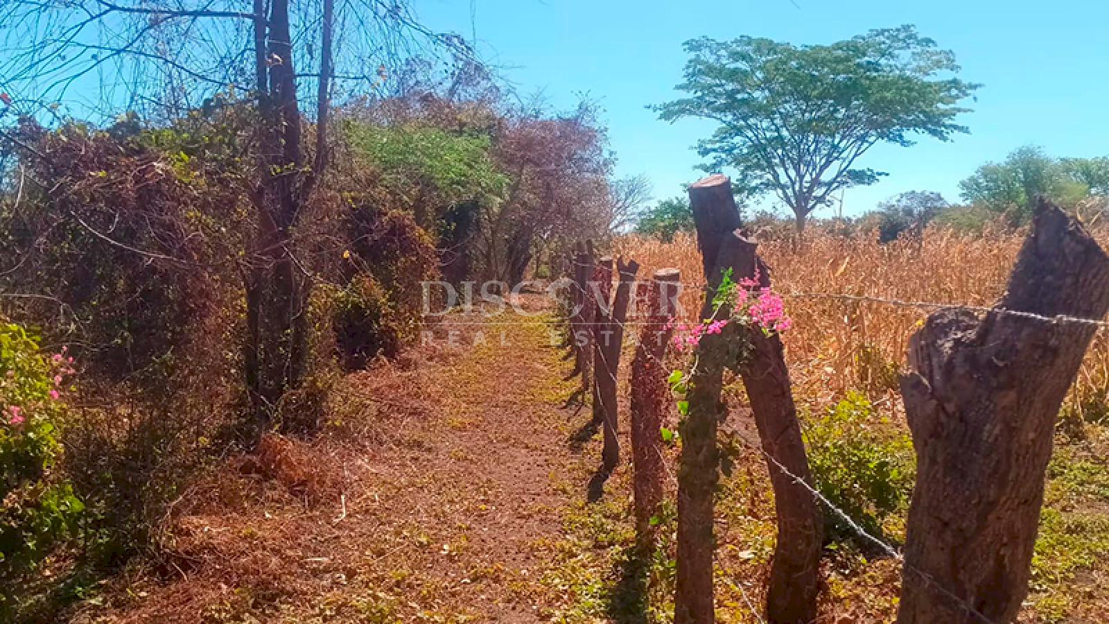  Land for sale located near the highway in Nagarote