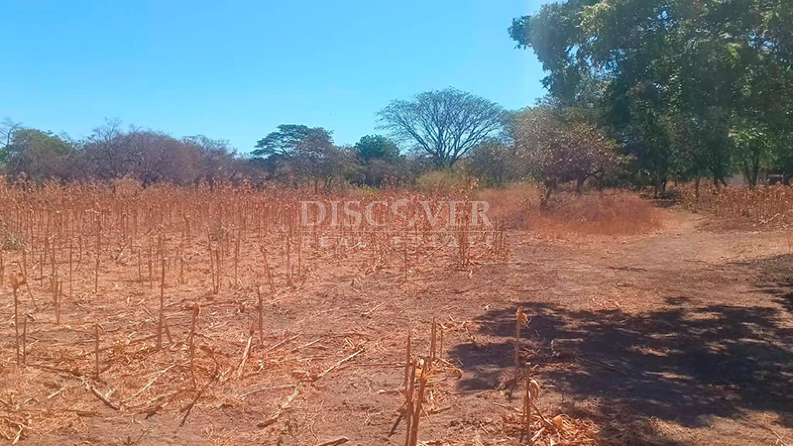 Land for sale located near the highway in Nagarote