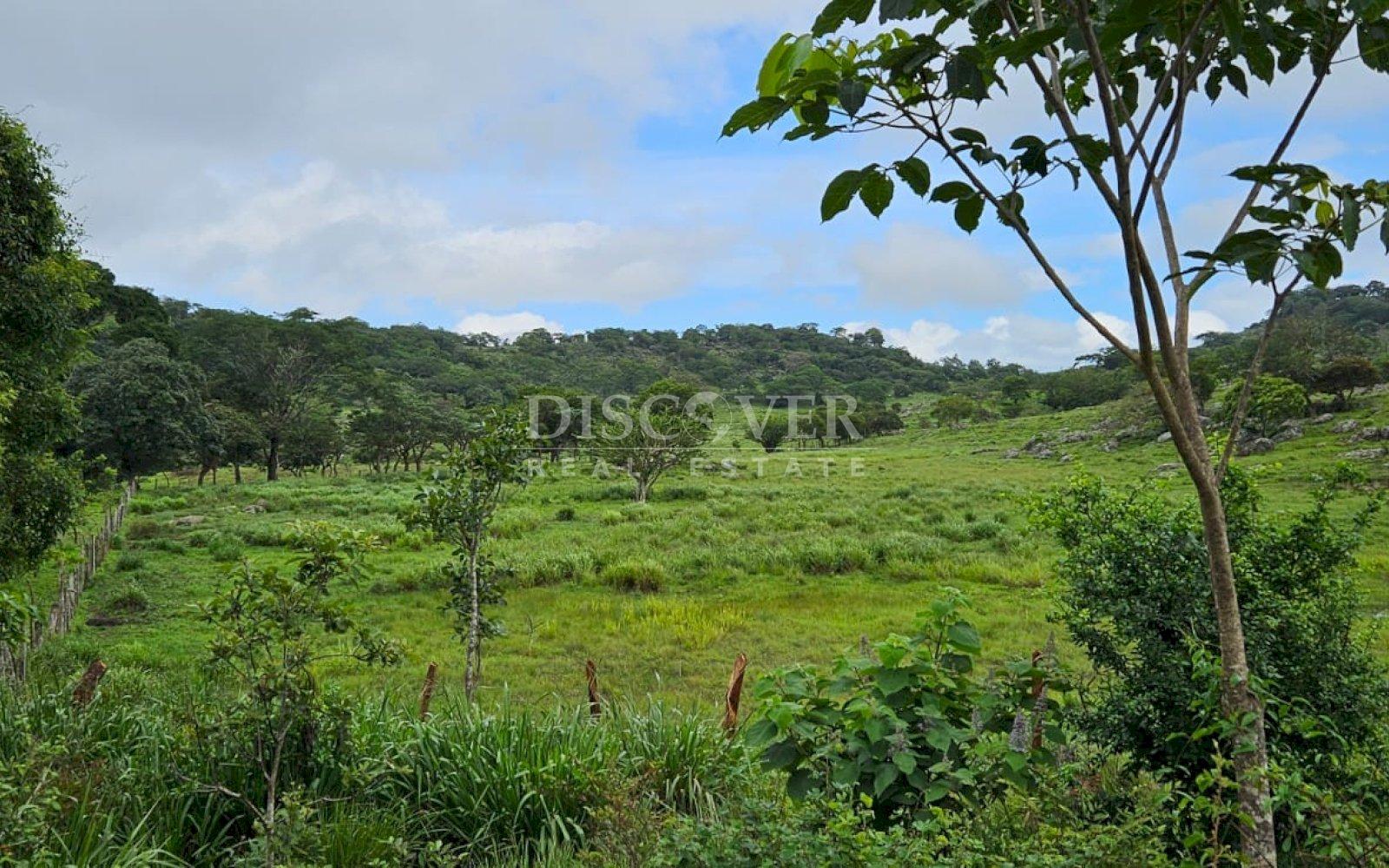  Cattle ranch for sale on Carretera Norte 