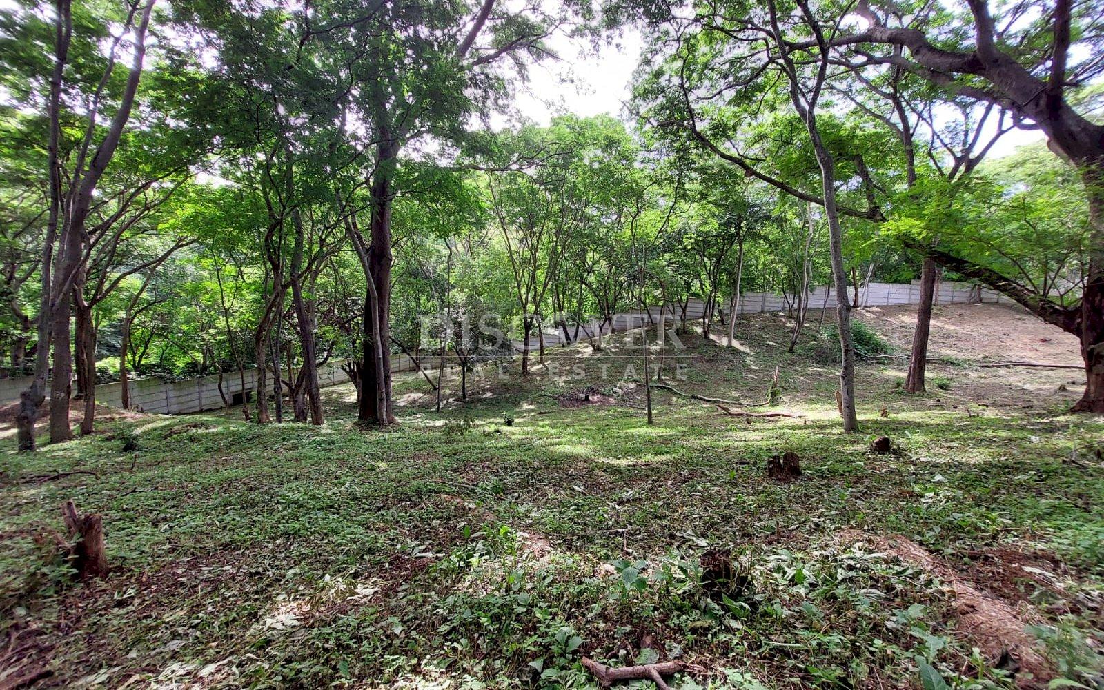  Land for sale in Villa Fontana.