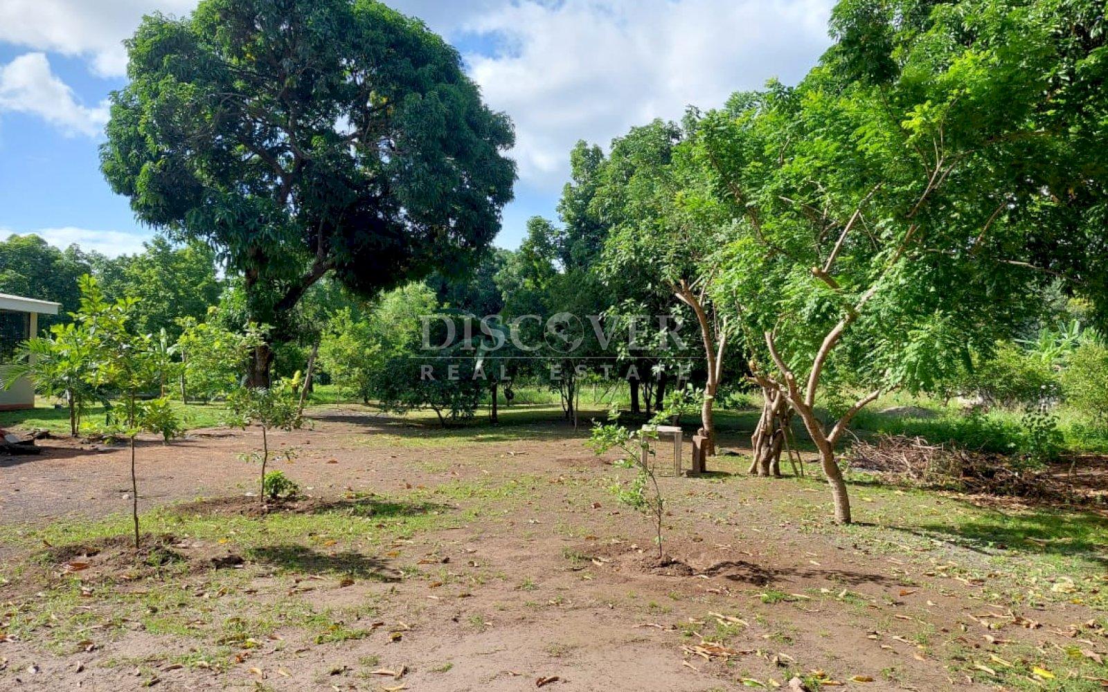  House for Sale in Veracruz Area ID 13019