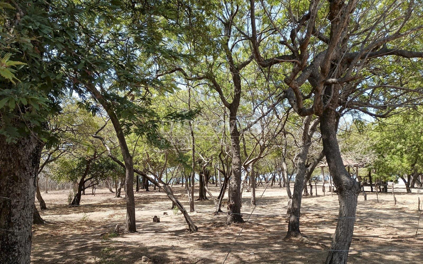 Oceanfront land for sale - La Boquita