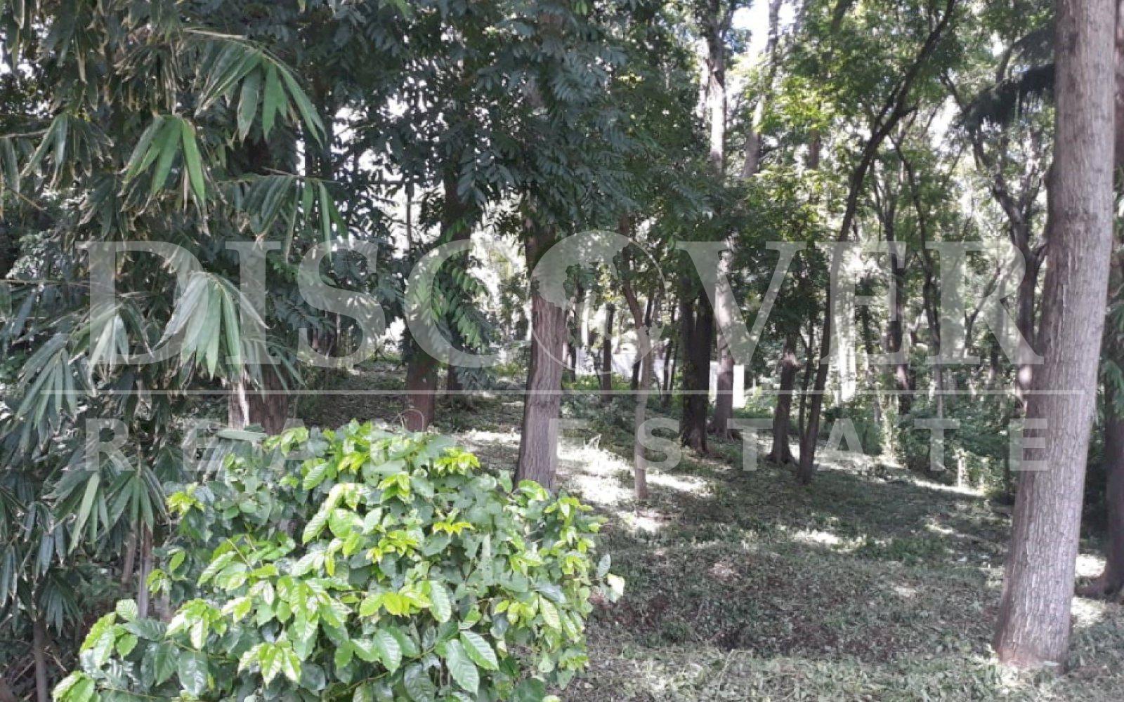 https://images.discovernica.com/propiedad/1600/advdvsdv.jpg