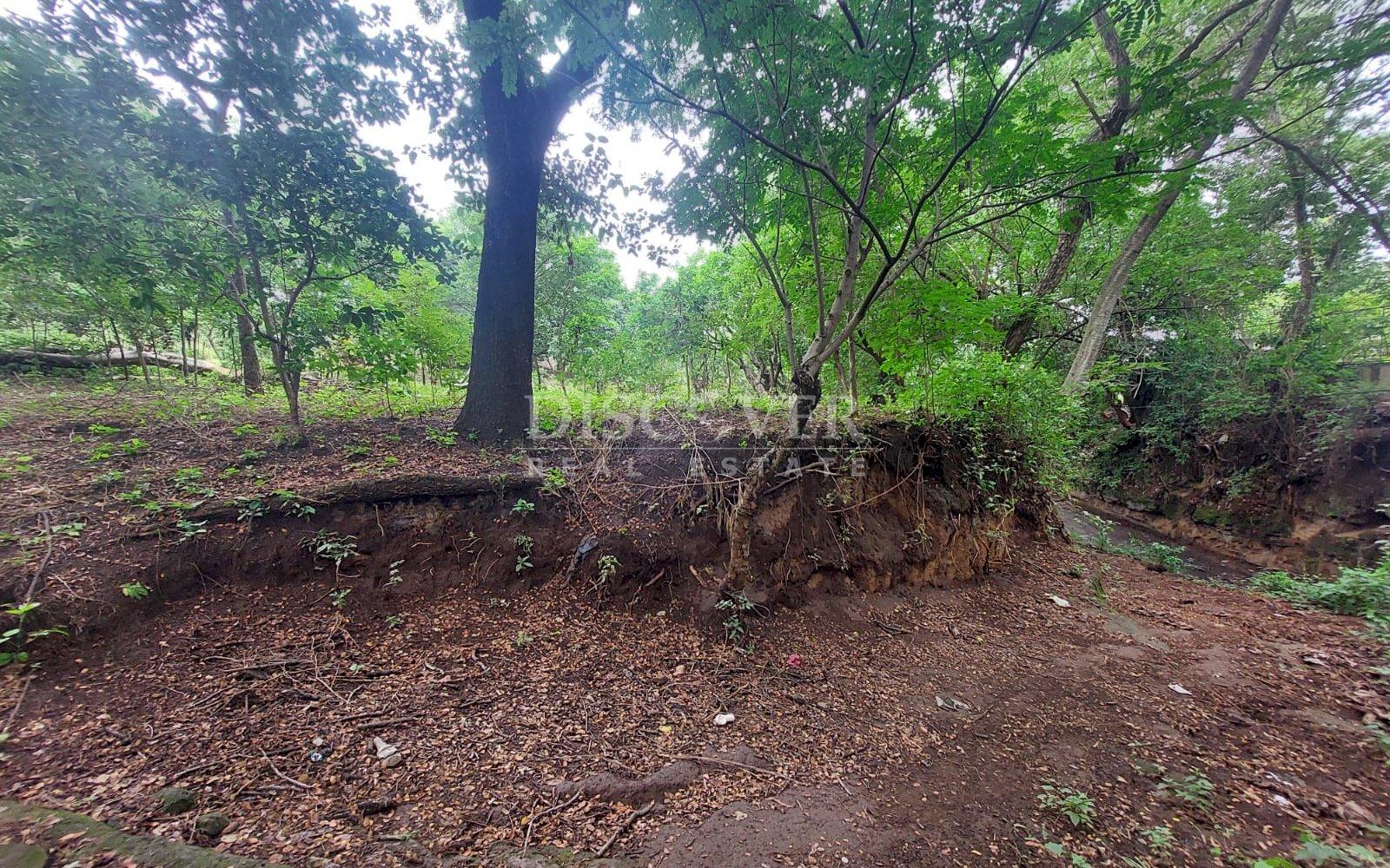 https://images.discovernica.com/propiedad/1600/ae439014_79d0_41df_89a5_bda7e77688d3.jpg