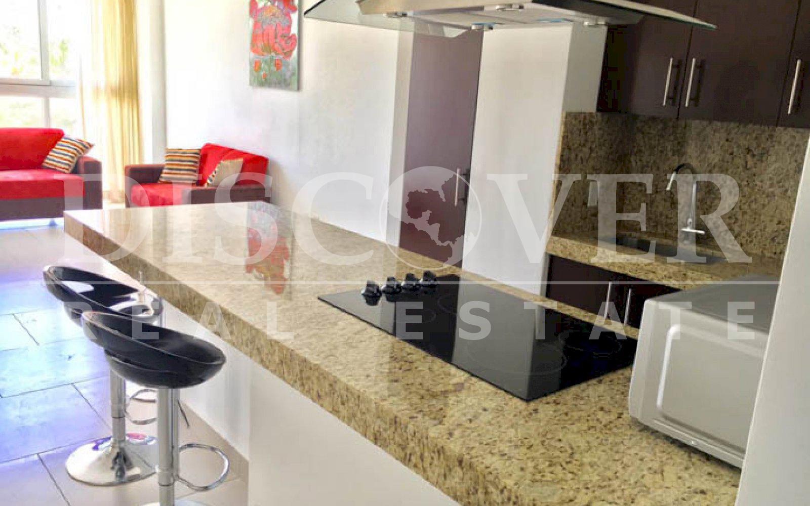 https://images.discovernica.com/propiedad/1600/apartamento_venta_santo_domingo_id_10658_3.jpg