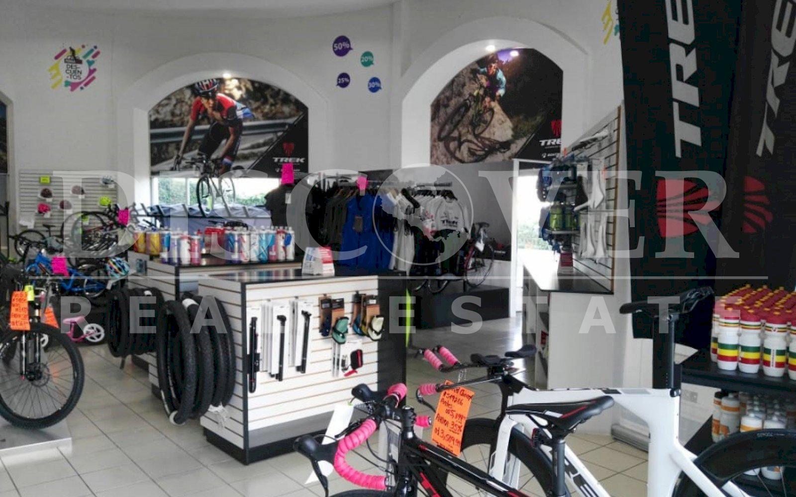 Imagen 3 de la galería
