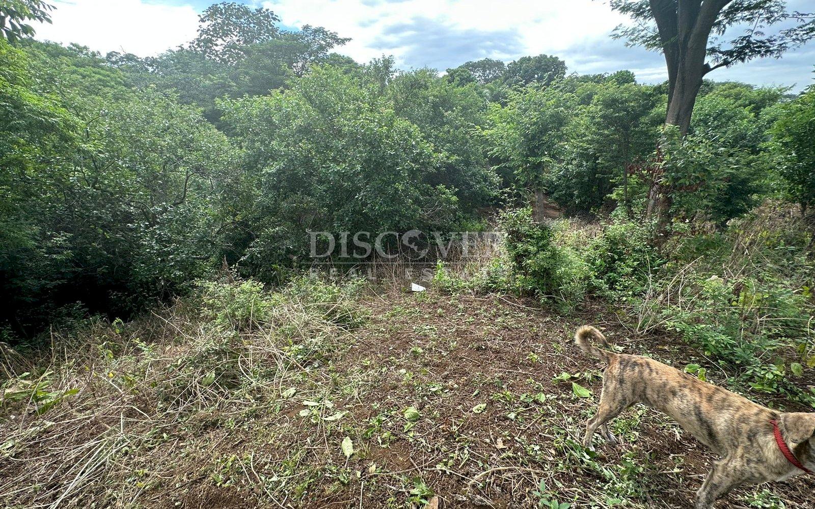  Land for sale in Altos de Ticomo Urbanization.