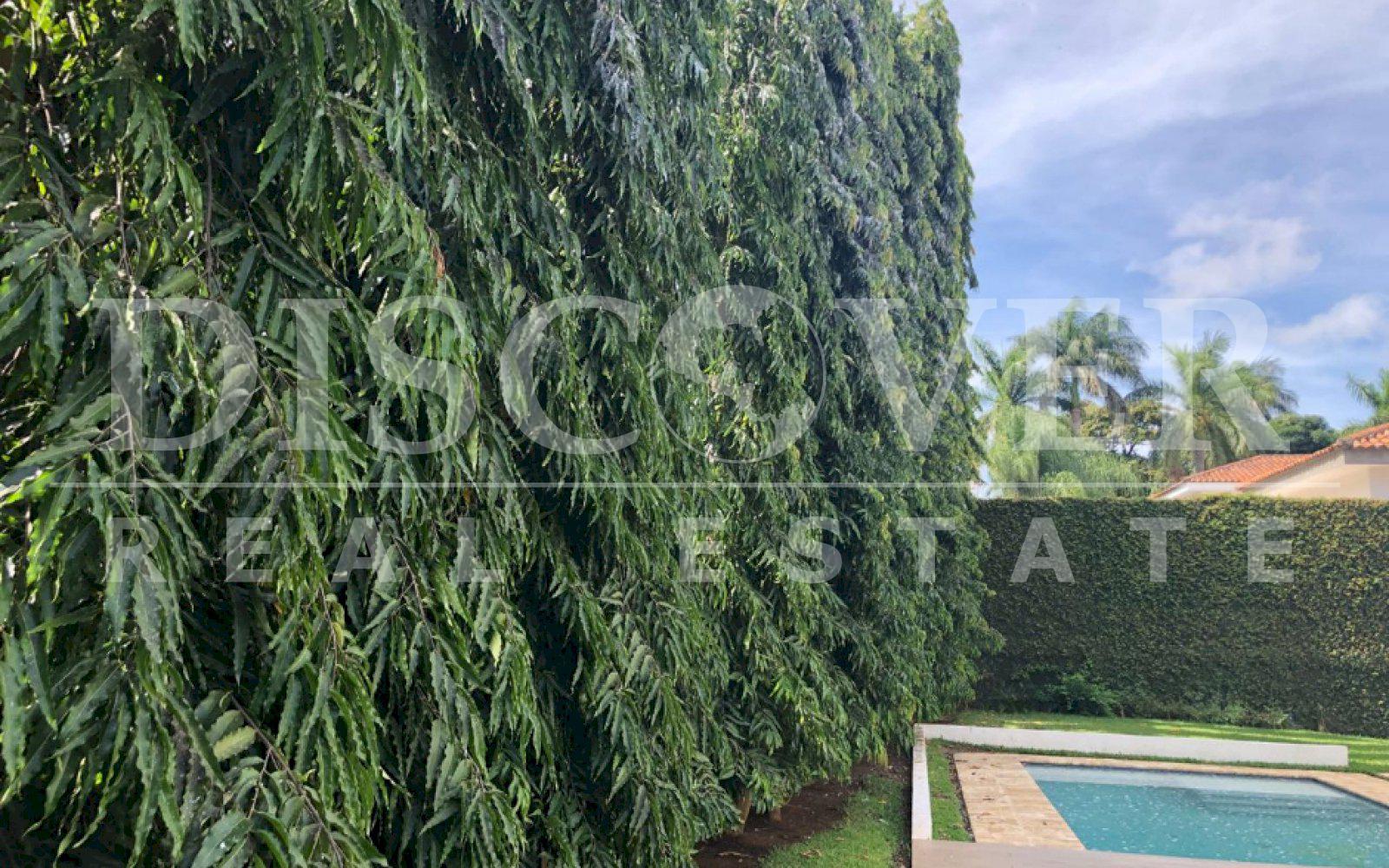 https://images.discovernica.com/propiedad/1600/b469a0c0_6465_4e86_a37c_cffb122873d1.jpg