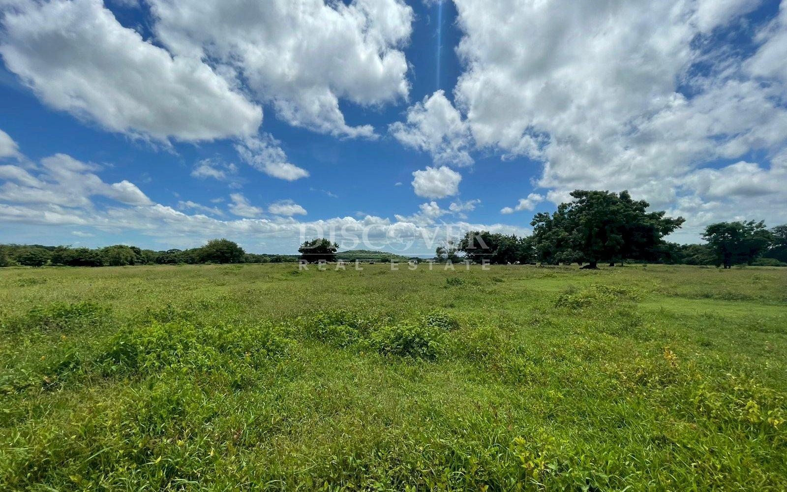 https://images.discovernica.com/propiedad/1600/ba532c66_2fa0_4955_9c18_f722ff829cfc.jpg